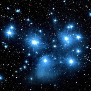 Meet your Posher, Sandy